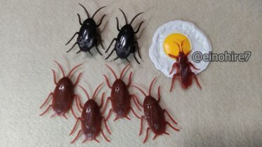 ダイソーのゴキブリおもちゃ3種類の比較　おすすめはこれ！